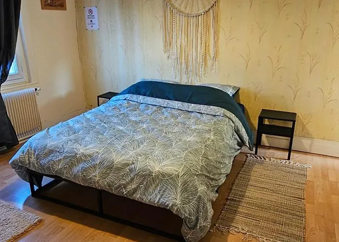 Nid Douillet Coeur Centre Historique, 3km De La Apartment